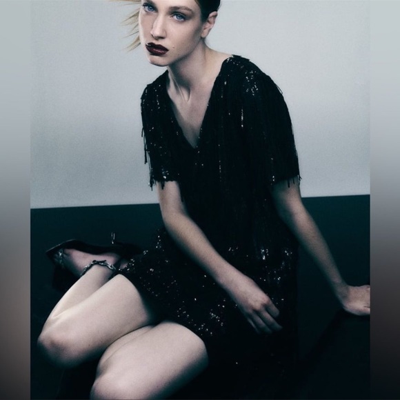 Zara Dresses & Skirts - Zara Black Sequin Fringed Mini Dress
Short Sleeve Dress